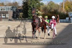 Dateiname=20251026_r01_098_R01_0326.jpg
Dateigröße=350KB
Abmessungen: 1000x667
hinzugefügt am: 27. Oktober 2025 20251026_r01_098_R01_0326.jpg