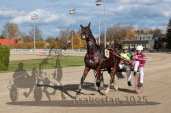 Dateiname=20251026_r01_102_R01_0336.jpg
Dateigröße=342KB
Abmessungen: 1000x667
hinzugefügt am: 27. Oktober 2025 20251026_r01_102_R01_0336.jpg