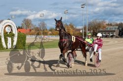 Dateiname=20251026_r01_104_R01_0340.jpg
Dateigröße=339KB
Abmessungen: 1000x667
hinzugefügt am: 27. Oktober 2025 20251026_r01_104_R01_0340.jpg