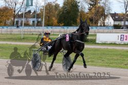 Dateiname=20251026_r02_001_R02_0002.jpg
Dateigröße=310KB
Abmessungen: 1000x667
hinzugefügt am: 27. Oktober 2025 20251026_r02_001_R02_0002.jpg