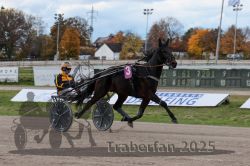 Dateiname=20251026_r02_008_R02_0016.jpg
Dateigröße=288KB
Abmessungen: 1000x667
hinzugefügt am: 27. Oktober 2025 20251026_r02_008_R02_0016.jpg