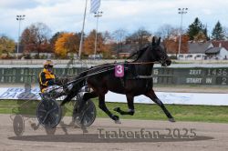 Dateiname=20251026_r02_010_R02_0020.jpg
Dateigröße=282KB
Abmessungen: 1000x667
hinzugefügt am: 27. Oktober 2025 20251026_r02_010_R02_0020.jpg