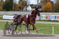 Dateiname=20251026_r02_018_R02_0041.jpg
Dateigröße=315KB
Abmessungen: 1000x667
hinzugefügt am: 27. Oktober 2025 20251026_r02_018_R02_0041.jpg