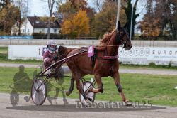 Dateiname=20251026_r02_019_R02_0045.jpg
Dateigröße=307KB
Abmessungen: 1000x667
hinzugefügt am: 27. Oktober 2025 20251026_r02_019_R02_0045.jpg