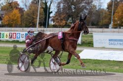 Dateiname=20251026_r02_020_R02_0048.jpg
Dateigröße=303KB
Abmessungen: 1000x667
hinzugefügt am: 27. Oktober 2025 20251026_r02_020_R02_0048.jpg