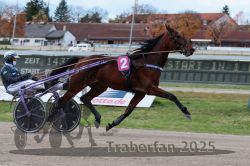 Dateiname=20251026_r02_049_R02_0133.jpg
Dateigröße=288KB
Abmessungen: 1000x667
hinzugefügt am: 27. Oktober 2025 20251026_r02_049_R02_0133.jpg