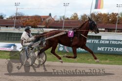 Dateiname=20251026_r02_052_R02_0144.jpg
Dateigröße=277KB
Abmessungen: 1000x667
hinzugefügt am: 27. Oktober 2025 20251026_r02_052_R02_0144.jpg