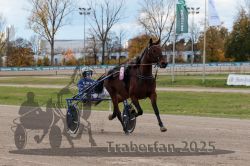 Dateiname=20251026_r02_057_R02_0156.jpg
Dateigröße=328KB
Abmessungen: 1000x667
hinzugefügt am: 27. Oktober 2025 20251026_r02_057_R02_0156.jpg