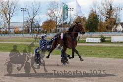 Dateiname=20251026_r02_058_R02_0159.jpg
Dateigröße=337KB
Abmessungen: 1000x667
hinzugefügt am: 27. Oktober 2025 20251026_r02_058_R02_0159.jpg