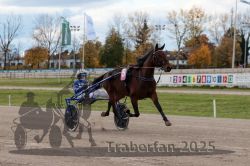 Dateiname=20251026_r02_059_R02_0163.jpg
Dateigröße=284KB
Abmessungen: 1000x667
hinzugefügt am: 27. Oktober 2025 20251026_r02_059_R02_0163.jpg