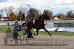 Dateiname=20251026_r02_062_R02_0170.jpg
Dateigröße=302KB
Abmessungen: 1000x667
hinzugefügt am: 27. Oktober 2025 20251026_r02_062_R02_0170.jpg