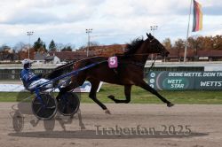 Dateiname=20251026_r02_065_R02_0181.jpg
Dateigröße=259KB
Abmessungen: 1000x667
hinzugefügt am: 27. Oktober 2025 20251026_r02_065_R02_0181.jpg