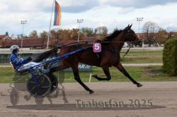 Dateiname=20251026_r02_067_R02_0185.jpg
Dateigröße=261KB
Abmessungen: 1000x667
hinzugefügt am: 27. Oktober 2025 20251026_r02_067_R02_0185.jpg