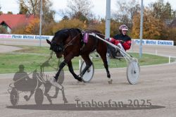 Dateiname=20251026_r02_071_R02_0200.jpg
Dateigröße=290KB
Abmessungen: 1000x667
hinzugefügt am: 27. Oktober 2025 20251026_r02_071_R02_0200.jpg