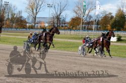 Dateiname=20251026_r02_076_R02_0214.jpg
Dateigröße=357KB
Abmessungen: 1000x667
hinzugefügt am: 27. Oktober 2025 20251026_r02_076_R02_0214.jpg