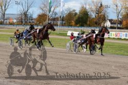 Dateiname=20251026_r02_077_R02_0218.jpg
Dateigröße=357KB
Abmessungen: 1000x667
hinzugefügt am: 27. Oktober 2025 20251026_r02_077_R02_0218.jpg