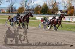 Dateiname=20251026_r02_078_R02_0219.jpg
Dateigröße=358KB
Abmessungen: 1000x667
hinzugefügt am: 27. Oktober 2025 20251026_r02_078_R02_0219.jpg