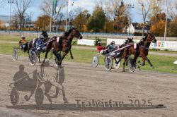 Dateiname=20251026_r02_079_R02_0220.jpg
Dateigröße=357KB
Abmessungen: 1000x667
hinzugefügt am: 27. Oktober 2025 20251026_r02_079_R02_0220.jpg