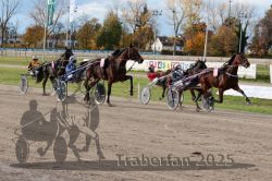 Dateiname=20251026_r02_080_R02_0223.jpg
Dateigröße=380KB
Abmessungen: 1000x667
hinzugefügt am: 27. Oktober 2025 20251026_r02_080_R02_0223.jpg