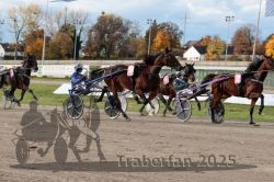 Dateiname=20251026_r02_081_R02_0227.jpg
Dateigröße=337KB
Abmessungen: 1000x667
hinzugefügt am: 27. Oktober 2025 20251026_r02_081_R02_0227.jpg