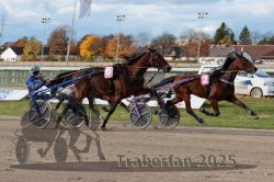 Dateiname=20251026_r02_082_R02_0232.jpg
Dateigröße=308KB
Abmessungen: 1000x667
hinzugefügt am: 27. Oktober 2025 20251026_r02_082_R02_0232.jpg