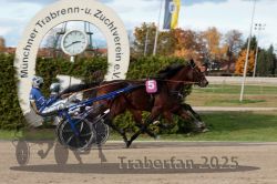 Dateiname=20251026_r02_087_R02_0245.jpg
Dateigröße=304KB
Abmessungen: 1000x667
hinzugefügt am: 27. Oktober 2025 20251026_r02_087_R02_0245.jpg