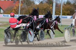 Dateiname=20251026_r02_088_R02_0251.jpg
Dateigröße=322KB
Abmessungen: 1000x667
hinzugefügt am: 27. Oktober 2025 20251026_r02_088_R02_0251.jpg