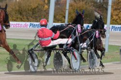 Dateiname=20251026_r02_089_R02_0256.jpg
Dateigröße=313KB
Abmessungen: 1000x667
hinzugefügt am: 27. Oktober 2025 20251026_r02_089_R02_0256.jpg