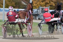 Dateiname=20251026_r02_090_R02_0265.jpg
Dateigröße=336KB
Abmessungen: 1000x667
hinzugefügt am: 27. Oktober 2025 20251026_r02_090_R02_0265.jpg