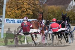 Dateiname=20251026_r02_091_R02_0272.jpg
Dateigröße=326KB
Abmessungen: 1000x667
hinzugefügt am: 27. Oktober 2025 20251026_r02_091_R02_0272.jpg