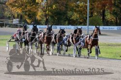 Dateiname=20251026_r02_092_R02_0275.jpg
Dateigröße=380KB
Abmessungen: 1000x667
hinzugefügt am: 27. Oktober 2025 20251026_r02_092_R02_0275.jpg