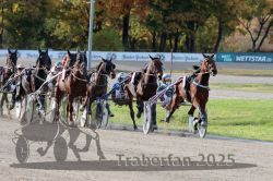 Dateiname=20251026_r02_096_R02_0286.jpg
Dateigröße=361KB
Abmessungen: 1000x667
hinzugefügt am: 27. Oktober 2025 20251026_r02_096_R02_0286.jpg