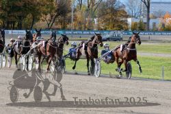 Dateiname=20251026_r02_097_R02_0289.jpg
Dateigröße=403KB
Abmessungen: 1000x667
hinzugefügt am: 27. Oktober 2025 20251026_r02_097_R02_0289.jpg