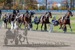 Dateiname=20251026_r02_099_R02_0297.jpg
Dateigröße=394KB
Abmessungen: 1000x667
hinzugefügt am: 27. Oktober 2025 20251026_r02_099_R02_0297.jpg