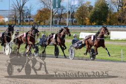 Dateiname=20251026_r02_101_R02_0303.jpg
Dateigröße=416KB
Abmessungen: 1000x667
hinzugefügt am: 27. Oktober 2025 20251026_r02_101_R02_0303.jpg