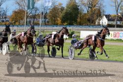 Dateiname=20251026_r02_103_R02_0307.jpg
Dateigröße=416KB
Abmessungen: 1000x667
hinzugefügt am: 27. Oktober 2025 20251026_r02_103_R02_0307.jpg