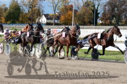 Dateiname=20251026_r02_107_R02_0320.jpg
Dateigröße=430KB
Abmessungen: 1000x667
hinzugefügt am: 27. Oktober 2025 20251026_r02_107_R02_0320.jpg