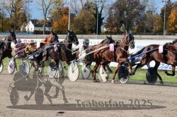 Dateiname=20251026_r02_108_R02_0324.jpg
Dateigröße=438KB
Abmessungen: 1000x667
hinzugefügt am: 27. Oktober 2025 20251026_r02_108_R02_0324.jpg