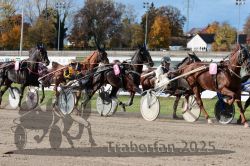 Dateiname=20251026_r02_110_R02_0330.jpg
Dateigröße=394KB
Abmessungen: 1000x667
hinzugefügt am: 27. Oktober 2025 20251026_r02_110_R02_0330.jpg