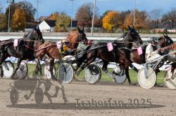 Dateiname=20251026_r02_112_R02_0337.jpg
Dateigröße=380KB
Abmessungen: 1000x667
hinzugefügt am: 27. Oktober 2025 20251026_r02_112_R02_0337.jpg