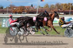 Dateiname=20251026_r02_115_R02_0347.jpg
Dateigröße=349KB
Abmessungen: 1000x667
hinzugefügt am: 27. Oktober 2025 20251026_r02_115_R02_0347.jpg