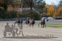 Dateiname=20251026_r02_117_R02_0355.jpg
Dateigröße=366KB
Abmessungen: 1000x667
hinzugefügt am: 27. Oktober 2025 20251026_r02_117_R02_0355.jpg