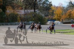 Dateiname=20251026_r02_118_R02_0359.jpg
Dateigröße=371KB
Abmessungen: 1000x667
hinzugefügt am: 27. Oktober 2025 20251026_r02_118_R02_0359.jpg