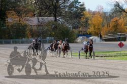 Dateiname=20251026_r02_119_R02_0362.jpg
Dateigröße=369KB
Abmessungen: 1000x667
hinzugefügt am: 27. Oktober 2025 20251026_r02_119_R02_0362.jpg