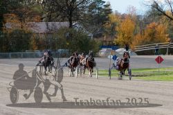 Dateiname=20251026_r02_120_R02_0366.jpg
Dateigröße=364KB
Abmessungen: 1000x667
hinzugefügt am: 27. Oktober 2025 20251026_r02_120_R02_0366.jpg