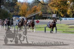 Dateiname=20251026_r02_122_R02_0373.jpg
Dateigröße=372KB
Abmessungen: 1000x667
hinzugefügt am: 27. Oktober 2025 20251026_r02_122_R02_0373.jpg