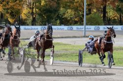 Dateiname=20251026_r02_126_R02_0389.jpg
Dateigröße=354KB
Abmessungen: 1000x667
hinzugefügt am: 27. Oktober 2025 20251026_r02_126_R02_0389.jpg