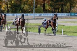 Dateiname=20251026_r02_127_R02_0392.jpg
Dateigröße=332KB
Abmessungen: 1000x667
hinzugefügt am: 27. Oktober 2025 20251026_r02_127_R02_0392.jpg