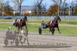 Dateiname=20251026_r02_129_R02_0402.jpg
Dateigröße=391KB
Abmessungen: 1000x667
hinzugefügt am: 27. Oktober 2025 20251026_r02_129_R02_0402.jpg