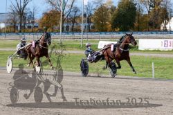 Dateiname=20251026_r02_130_R02_0409.jpg
Dateigröße=389KB
Abmessungen: 1000x667
hinzugefügt am: 27. Oktober 2025 20251026_r02_130_R02_0409.jpg